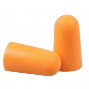 Earplugs / Earmuffs