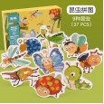Wooden children's education flat map big wooden puzzle baby toddler early education toy boy girl 2-4 years old