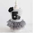 Petstyle cotton autumn and winter new style No. 5 double bow small fragrant cotton skirt pet clothes dog clothing