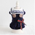 Petstyle autumn and winter new college bear couple clothes pet clothes dog clothing
