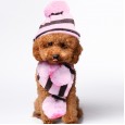 Pet dog hat scarf foot cover cat dog teddy autumn and winter clothing teddy puppies Bomei clothes accessories