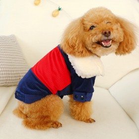 Teddy bear puppies autumn and winter new pets have paid for color matching corduroy double-padded coats to keep warm and velvet dog clothes