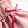 Pet dog dog cat spring and summer new clothes color stripe corduroy princess temperament skirt