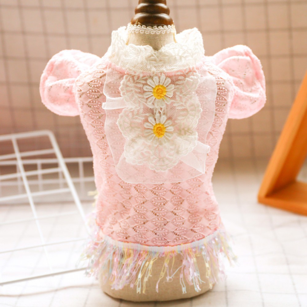 Teddy chihuahua puppies pet dog dog cat clothes early summer pink lace temperament princess skirt