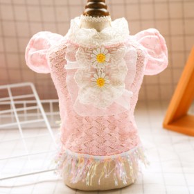 Teddy chihuahua puppies pet dog dog cat clothes early summer pink lace temperament princess skirt