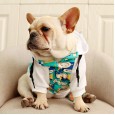 Dog autumn and winter clothing law Dou Schnauzer Corgi pet plus velvet warm winter Teddy clothes hooded sweater