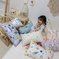 Kindergarten pillow core cotton cartoon cute beanie pillow pure cotton child baby pillow