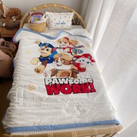 Explosive wormwood was cartoon children summer was kindergarten thin quilt single student quilt