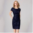 Women's autumn new brand large size clothing middle and old dress long sleeves