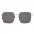 Fashion big frame ladies sunglasses trend gradient color street shot sunglasses metal pattern glasses male S08