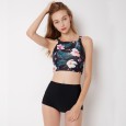 Sexy bikini split female swimsuit hot spring swimsuit 9036