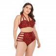 Large size bikini underwire large cup ladies swimsuit swimsuit 6655