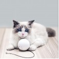 HomeRun Smart Interactive Pet Toys Automatic 360 Degree Self Rotating Ball Toys with Bell Built-In Spinning Eye-Protection LED Cat Toy From XiaoMi Eco-system 