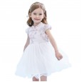 Summer new short-sleeved Hanfu children's dress children's clothing Republic of China buckle embroidered mesh girl dress