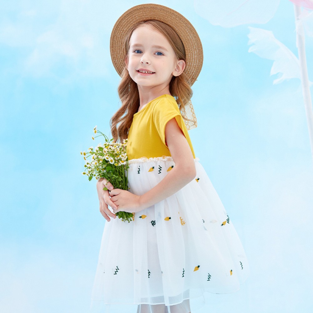 Summer new carrot embroidered mesh yarn girl dress children's clothing puffy mesh yarn princess dress