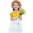 Summer new carrot embroidered mesh yarn girl dress children's clothing puffy mesh yarn princess dress